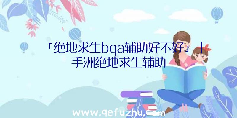 「绝地求生bqa辅助好不好」|手洲绝地求生辅助